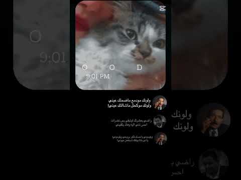 كلبي ليل وليدي مو قصت عشق سالفتي اني وياكقصت روح تطلع من يمر اسمك