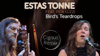 Estas Tonne feat. Peia Luzzi  Bird's Teardrops (Cignus Remix)