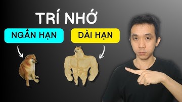 Tại sao Trí Nhớ Kém, Hay Quên ? Và cách giải quyết