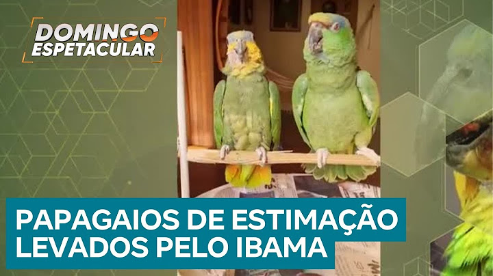 Papagaios de estimação são tirados de família após denúncia anônima