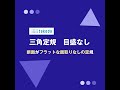 【製図用品】takeda タケダ 三角定規 目盛なし