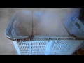 かに工場で茹で上げた蟹