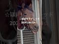 ☆ウエストオーバー☆ほぼサラブレッド2024☆No.124☆10月14日☆ #ウエストオーバー #westover #horse #馬 #サラブレッド