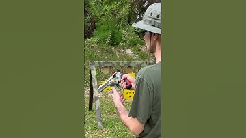 Cranium Target Ballistic Gel vs. Taurus Raging Bull .44