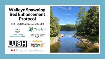 Walleye Spawning Bed Enhancement Protocol video