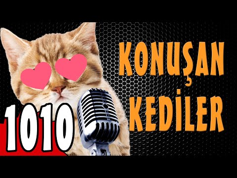 Anneler Günü Özel - Konuşan Kediler 1010 - Yeni Bölüm