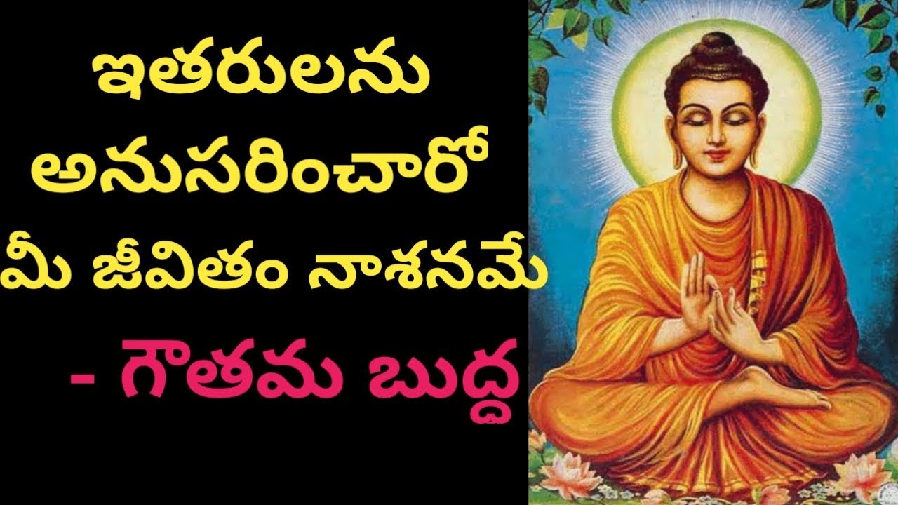 essay on buddha in telugu