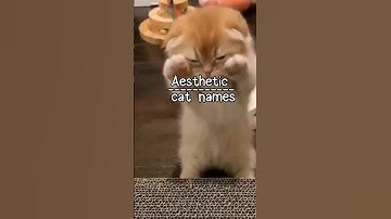 Aesthetic cat names💕🐱 #aesthetic #viral #fypシ #cat #names #catnames
