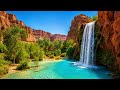 Relaxing Waterfall Oasis 🌿 Peaceful Nature Sounds &amp; Calming Music for Sleep, Study and Meditation