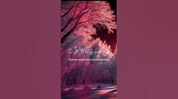 ( سبح إسم ربك الأعلى ) سورة الأعلى للقارئ عبدالرحمن بن مسعد #quran #ارح_قلبك #عبدالرحمن_مسعد