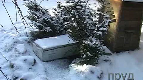 Как сделать незамерзающий всю зиму пруд в саду