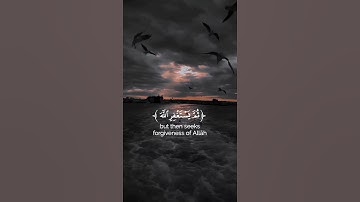 تلاوه من سوره النساء |قران كريم راحه نفسيه ❤🧡