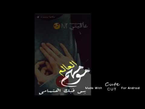 كل كلام الحب