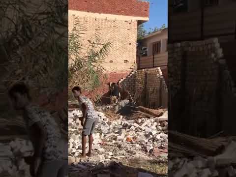 صعايدة يا رسول الله