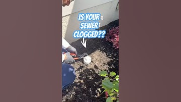Signs You Have A Clogged Main Sewer Line - Toilet Not Flushing & Bath Tub Or Shower Backing Up