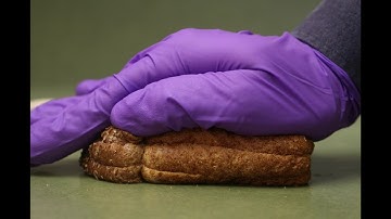 Rheology Class Videos: Introduction to Rheology