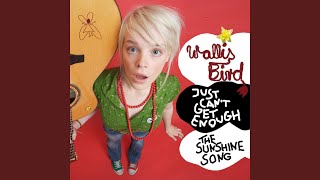 Video thumbnail of "Wallis Bird - The Sunshine Song"