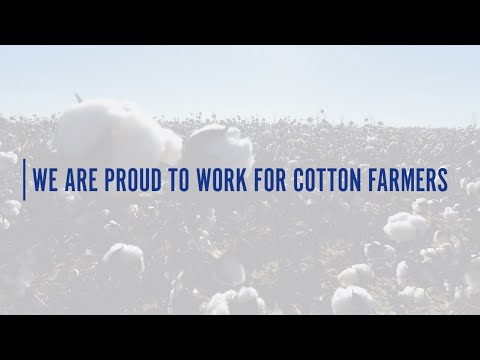 From the Eyes of PCCA: We Are Proud to Work for Cotton Farmers