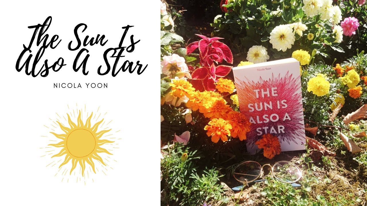 the sun is also a star book author the sun is also a star book author