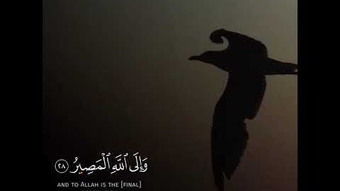 حالات واتس اب تلاوة خاشعة🎧  القارئ ياسر الزيلعي💛