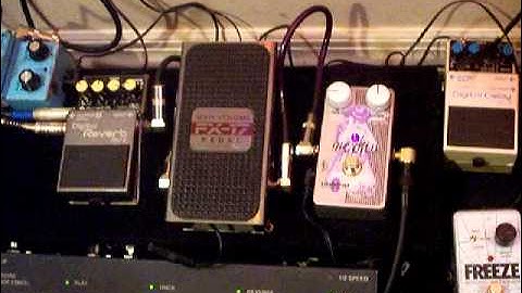 Catalinbread Merkin Fuzz , DOD FX-17 , BOSS RV-2  (Fuzz Wah Reverb)