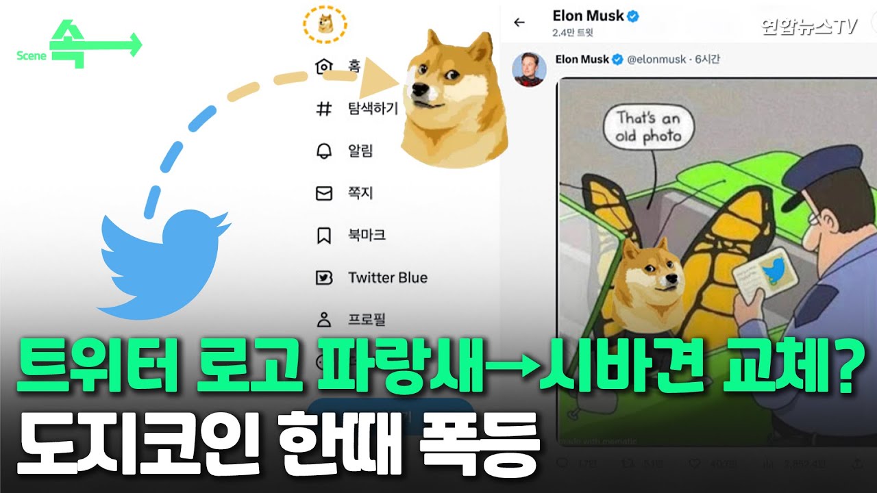 [씬속뉴스] 트위터 로고 파랑새→시바견 교체?…도지코인 폭등 / 연합뉴스TV (YonhapnewsTV)