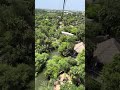 🎢🦅 Just Opened in Brownsville! 🚨 The Soaring Eagle Zip Line at Gladys Porter Zoo is HERE! 🌇