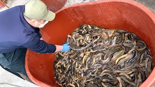 "탤런트 김수미 씨도 맛있대요~" 하루 300그릇 팔리는 칼칼한 미꾸라지 매운탕집┃Chueotang(Boiled mud-fish soup), Korean street food