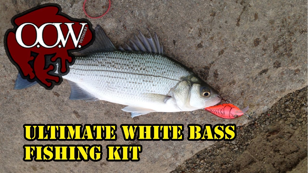 Ultimate White Bass Fishing Starter Kit - OOW Outdoors 