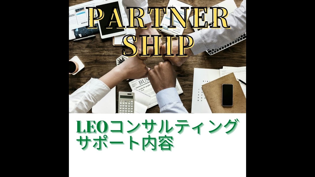 Leo Consulting Infinitygreen