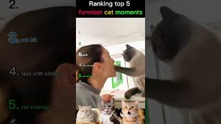 Ranking top 5 Funniest Cats Doing Funny Things 🐱 Best Cat Videos Compilation #shorts