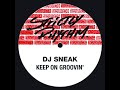 Dj Sneak Keep On Groovin Fat Bottom Mix mp3