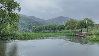Rain sounds for sleeping and relaxing. Heavy rain storm, no thunder, on the foggy lake. screenshot 4