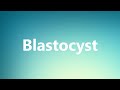 Blastocyst - Medical Meaning