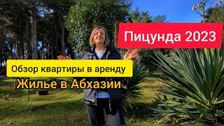 Абхазия зимой. Обзор квартиры в аренду в Пицунде. Жилье в Пицунде.