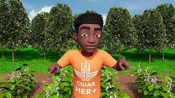 Designing and piloting innovative and inclusive solutions in the agri food systems, 3D video