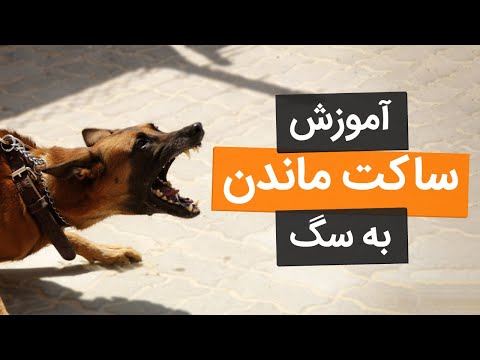 تصویری: چرا سگ پارس نمی کند