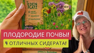 видео: ЧТО ДЕЛАТЬ С ГРЯДКАМИ В СЕНТЯБРЕ?☘️СЕЕМ СИДЕРАТЫ!☝️4 СИДЕРАТА В УПАКОВКЕ!🔥СДЕЛАЕМ ПОЧВУ ПЛОДОРОДНОЙ! картинка: ЧТО ДЕЛАТЬ С ГРЯДКАМИ В СЕНТЯБРЕ?☘️СЕЕМ СИДЕРАТЫ!☝️4 СИДЕРАТА В УПАКОВКЕ!🔥СДЕЛАЕМ ПОЧВУ ПЛОДОРОДНОЙ!