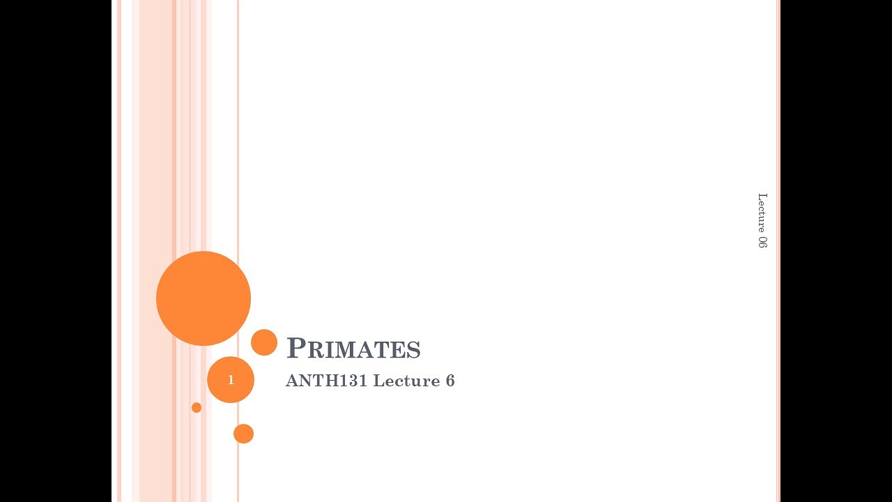 Lecture 06 - Primates