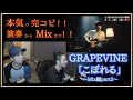 完全完コピ!!GRAPEVINE「こぼれる」~Mix編part2~