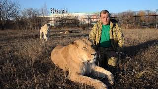 МАКСИМАЛЬНЫЙ РЕПОСТ !!! Парк львов Тайган ХОТЯТ ЗАКРЫТЬ !!!