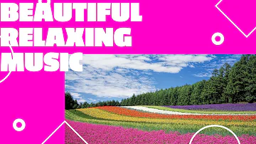 Beautiful Relaxing Music, Vol. 1 ~ Light Piano, Guitar & Flute Music with Nature Image