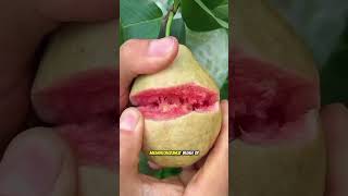 Buah Buahan, Sumber Energi Alami #buahbuahan #sumberenergi #energialami
