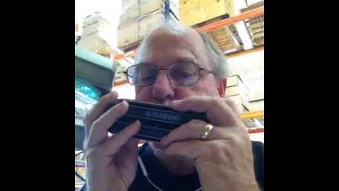 Twin harmonica – – chord and chromatic