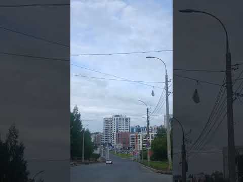 Мы поехали на прогулку с Рэксом и нас уже узнают. Рэкса в основном.