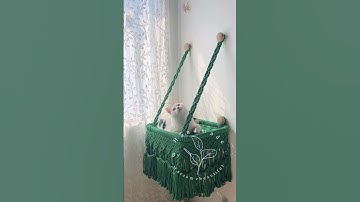 Macrame Dreams: Cats and their Cozy Hammock   #cathammock
