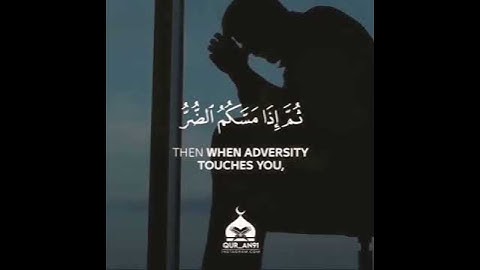 تلاوة مؤثرة للقارئ#رعد_الكردي #سورة_النحل ﴿وما بكم من نعمة فمن الله ثم إذا مسكم الضر فإليه تجأرون﴾😔😢