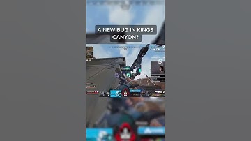 Pros Discovered a New Bug in King