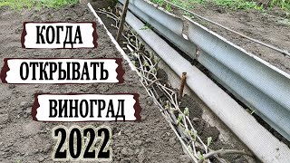 🍇 Когда ОТКРЫВАТЬ ВИНОГРАД? Как уходить от апрельских ЗАМОРОЗКОВ? Почему ВЫПРЕВАЕТ виноград?