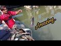 amazing.. patan and tilapia fish catching